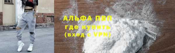 индика Белокуриха