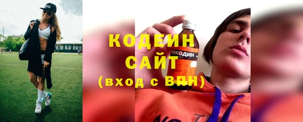 индика Белокуриха