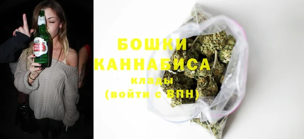 индика Белокуриха