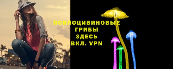 индика Белокуриха