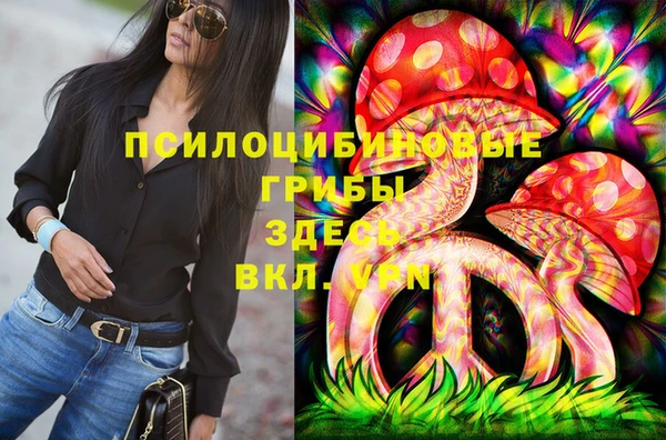 индика Белокуриха