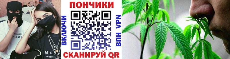 Бошки Шишки планчик  даркнет сайт  гидра зеркало  даркнет формула  Хасавюрт 